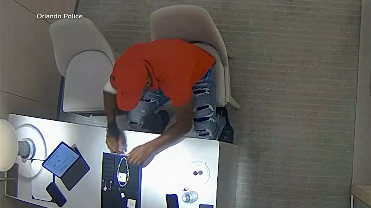 Jewelry thief who swallowed earrings from Tiffany & Co during arrest to be sentenced in December
— Lake Forest Community news